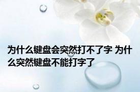 为什么键盘会突然打不了字 为什么突然键盘不能打字了