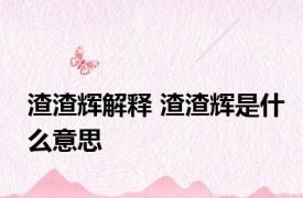 渣渣辉解释 渣渣辉是什么意思