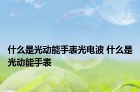 什么是光动能手表光电波 什么是光动能手表