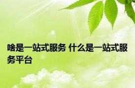 啥是一站式服务 什么是一站式服务平台