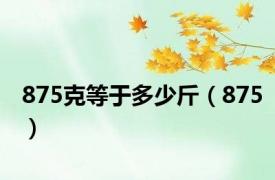 875克等于多少斤（875）