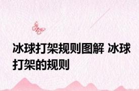 冰球打架规则图解 冰球打架的规则