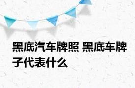 黑底汽车牌照 黑底车牌子代表什么