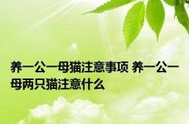 养一公一母猫注意事项 养一公一母两只猫注意什么
