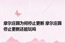 摩尔庄园为何停止更新 摩尔庄园停止更新还能玩吗