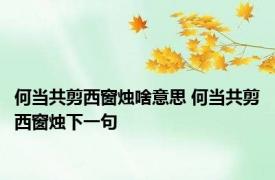 何当共剪西窗烛啥意思 何当共剪西窗烛下一句