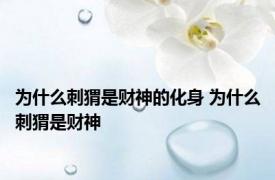 为什么刺猬是财神的化身 为什么刺猬是财神