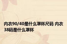 内衣90/40是什么罩杯尺码 内衣38码是什么罩杯