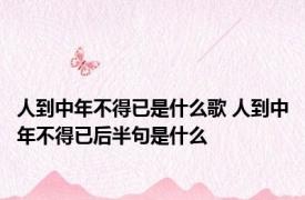 人到中年不得已是什么歌 人到中年不得已后半句是什么