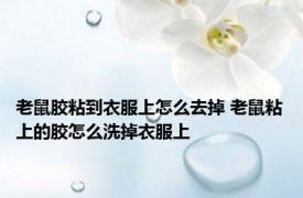 老鼠胶粘到衣服上怎么去掉 老鼠粘上的胶怎么洗掉衣服上