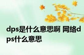 dps是什么意思啊 网络dps什么意思