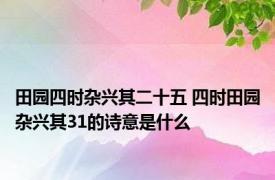 田园四时杂兴其二十五 四时田园杂兴其31的诗意是什么