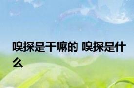 嗅探是干嘛的 嗅探是什么