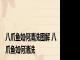 八爪鱼如何清洗图解 八爪鱼如何清洗