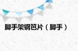 脚手架钢笆片（脚手）