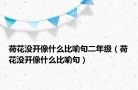 荷花没开像什么比喻句二年级（荷花没开像什么比喻句）