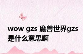 wow gzs 魔兽世界gzs是什么意思啊
