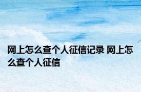 网上怎么查个人征信记录 网上怎么查个人征信