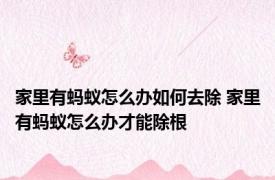 家里有蚂蚁怎么办如何去除 家里有蚂蚁怎么办才能除根