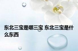 东北三宝是哪三宝 东北三宝是什么东西
