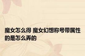 魔女怎么得 魔女幻想称号带属性的是怎么弄的