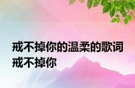 戒不掉你的温柔的歌词 戒不掉你 