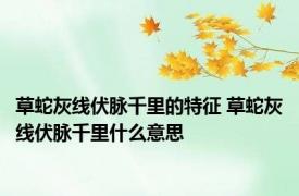 草蛇灰线伏脉千里的特征 草蛇灰线伏脉千里什么意思