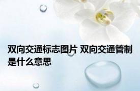 双向交通标志图片 双向交通管制是什么意思