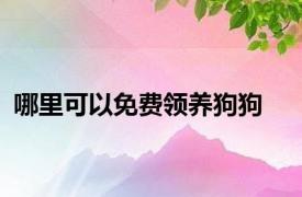 哪里可以免费领养狗狗