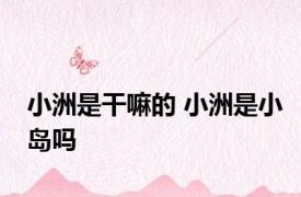 小洲是干嘛的 小洲是小岛吗