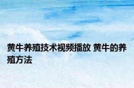 黄牛养殖技术视频播放 黄牛的养殖方法