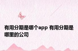 有用分期是哪个app 有用分期是哪里的公司