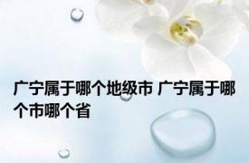 广宁属于哪个地级市 广宁属于哪个市哪个省