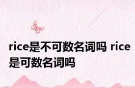 rice是不可数名词吗 rice是可数名词吗