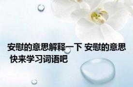 安慰的意思解释一下 安慰的意思 快来学习词语吧