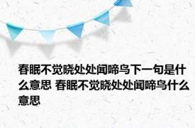 春眠不觉晓处处闻啼鸟下一句是什么意思 春眠不觉晓处处闻啼鸟什么意思