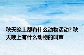 秋天晚上都有什么动物活动? 秋天晚上有什么动物的叫声