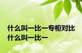 什么叫一比一专柜对比 什么叫一比一