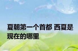 夏朝第一个首都 西夏是现在的哪里