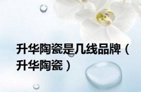 升华陶瓷是几线品牌（升华陶瓷）