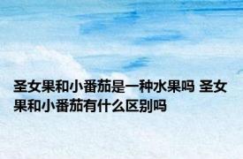 圣女果和小番茄是一种水果吗 圣女果和小番茄有什么区别吗
