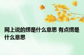 网上说的捞是什么意思 有点捞是什么意思