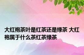 大红袍茶叶是红茶还是绿茶 大红袍属于什么茶红茶绿茶