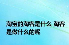 淘宝的淘客是什么 淘客是做什么的呢