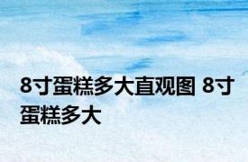 8寸蛋糕多大直观图 8寸蛋糕多大