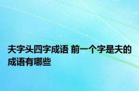 夫字头四字成语 前一个字是夫的成语有哪些