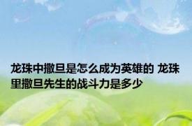 龙珠中撒旦是怎么成为英雄的 龙珠里撒旦先生的战斗力是多少