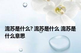 流苏是什么? 流苏是什么 流苏是什么意思