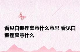 看见白狐狸寓意什么意思 看见白狐狸寓意什么