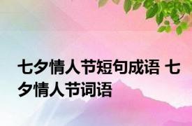 七夕情人节短句成语 七夕情人节词语